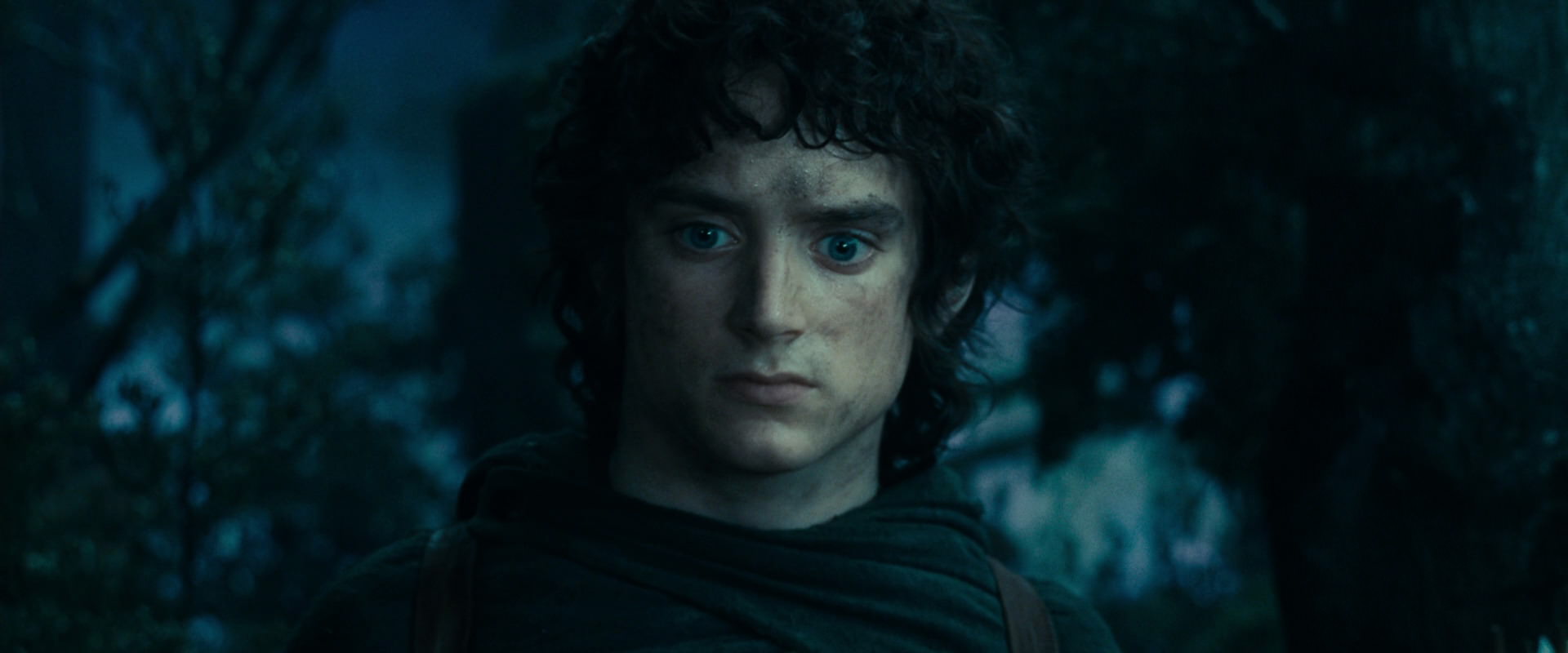 The Lord of the Rings: The Fellowship of the Ring (2001) HD screenshot 17996