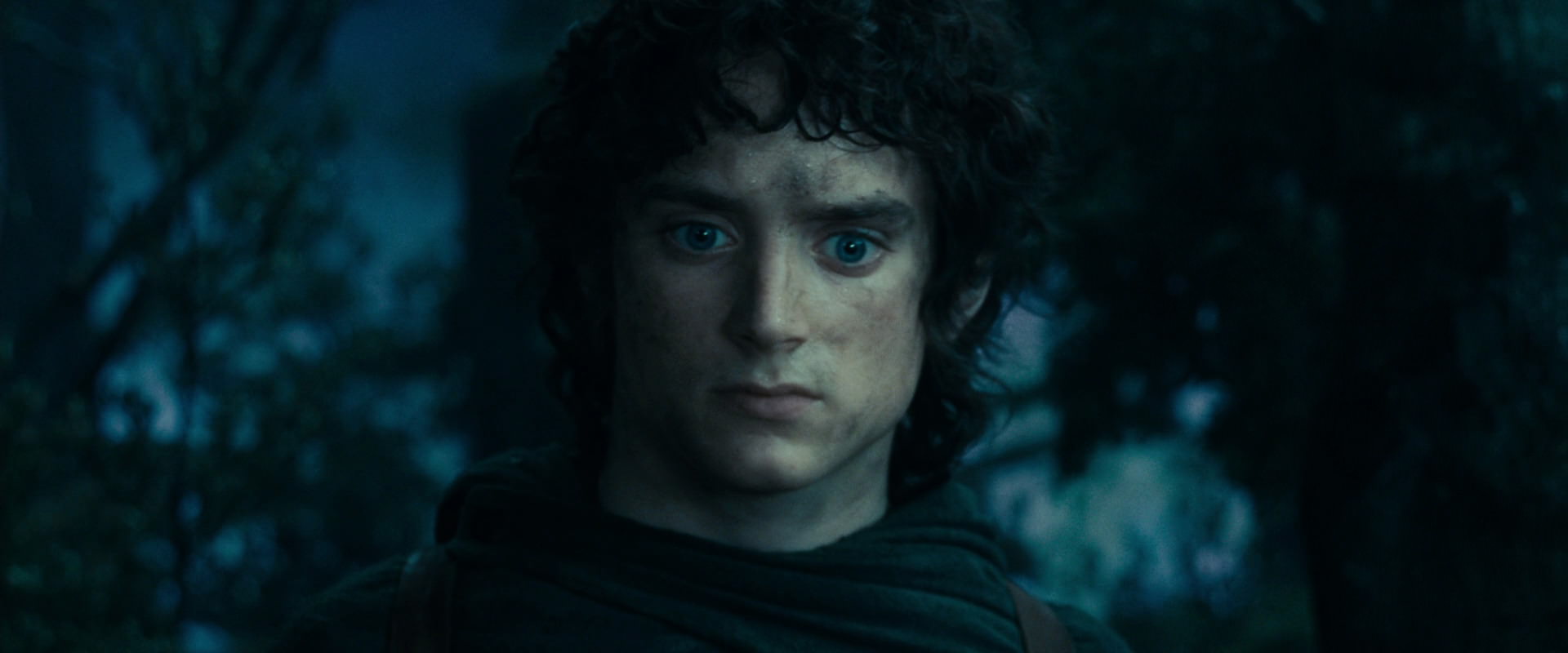 The Lord of the Rings: The Fellowship of the Ring (2001) screencap 17997