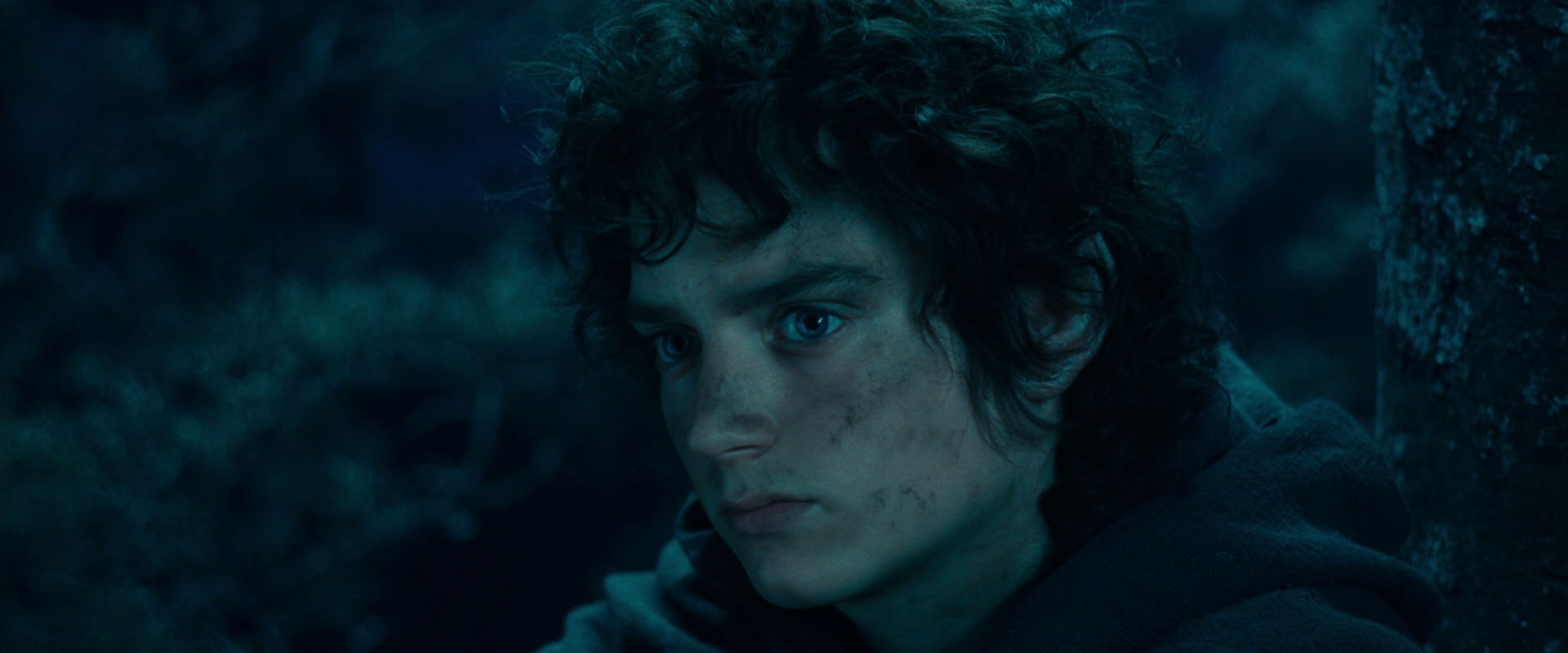 The Lord of the Rings: The Fellowship of the Ring (2001) screencap 18024