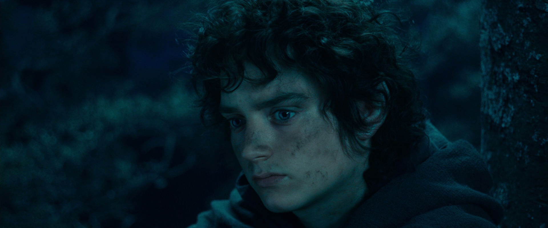 The Lord of the Rings: The Fellowship of the Ring (2001) movie still 18025