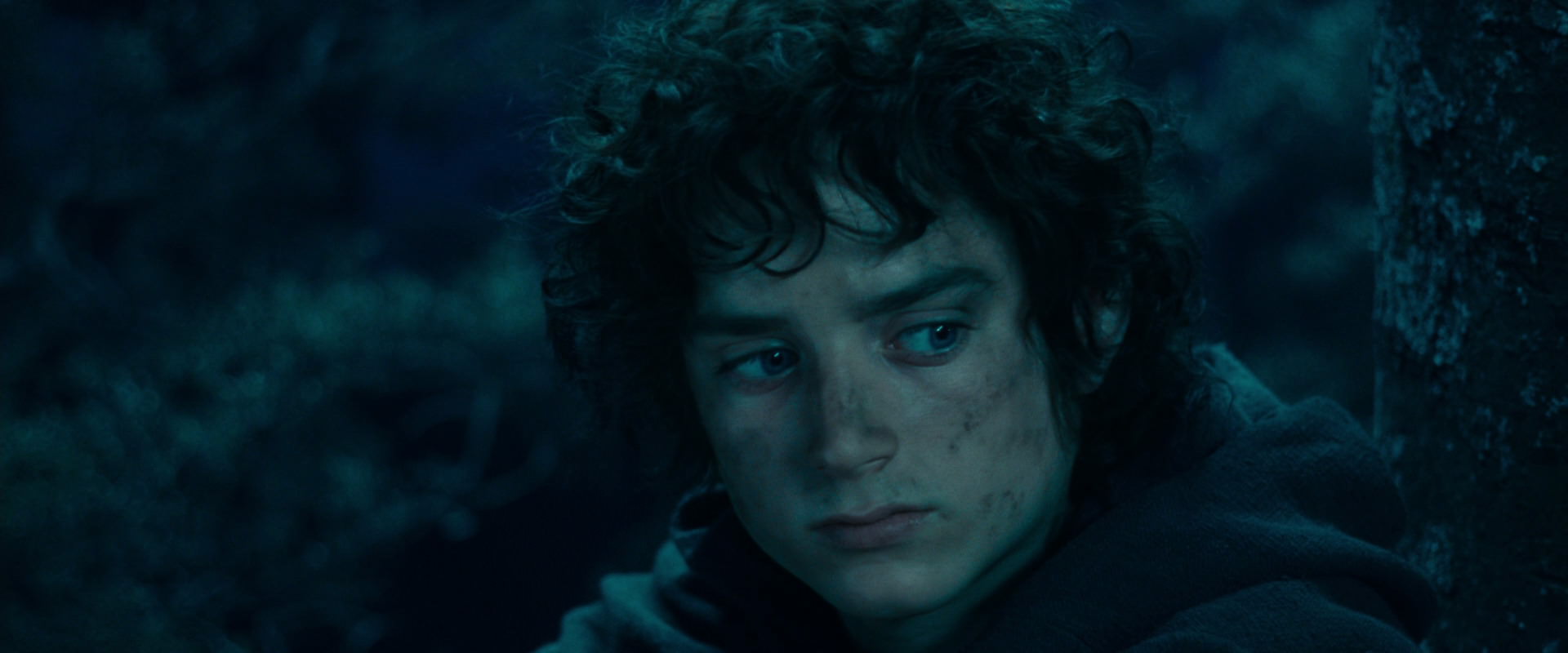The Lord of the Rings: The Fellowship of the Ring (2001) screencap 18027