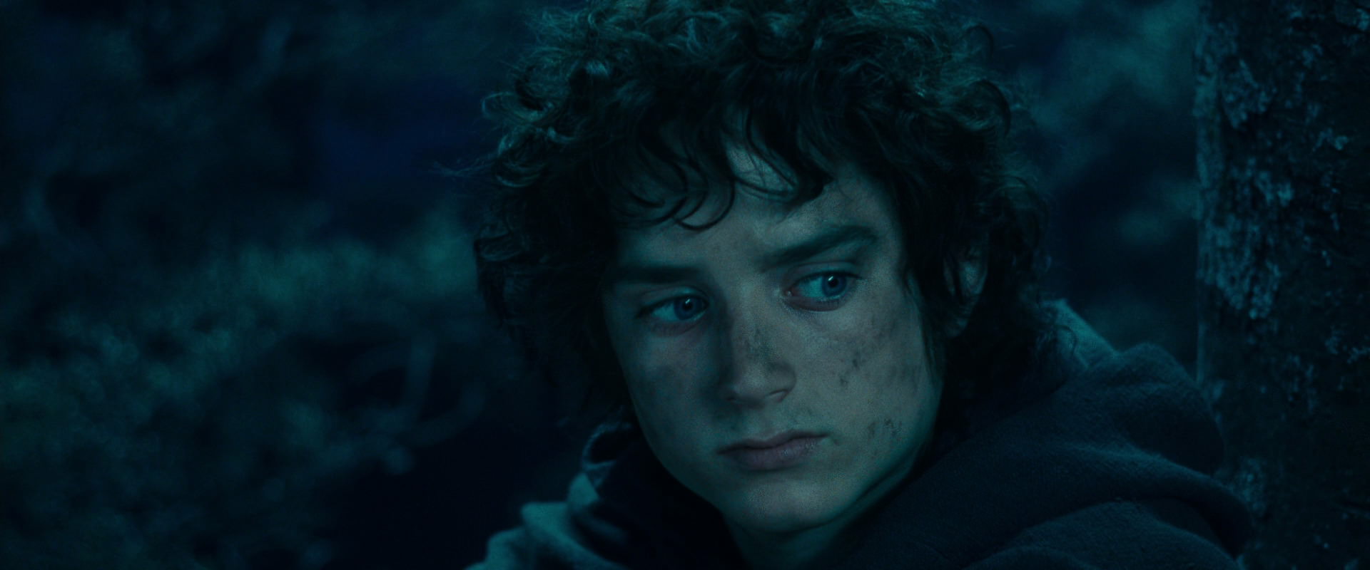 The Lord of the Rings: The Fellowship of the Ring (2001) movie still 18028