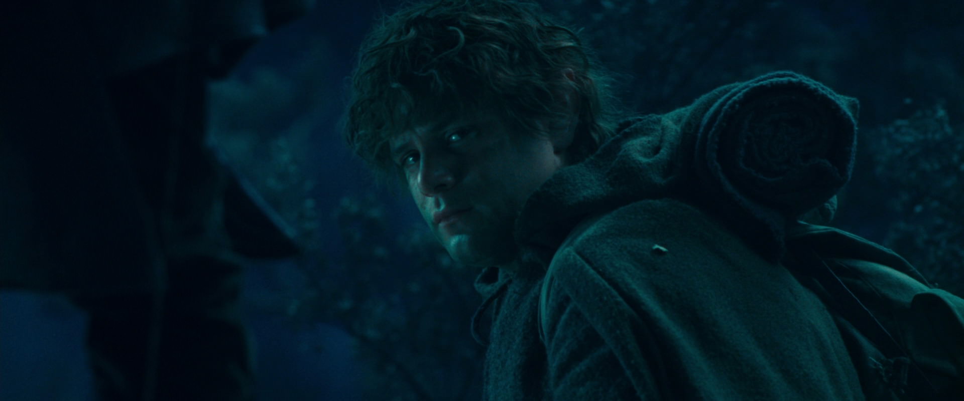 The Lord of the Rings: The Fellowship of the Ring (2001) HD screenshot 18029