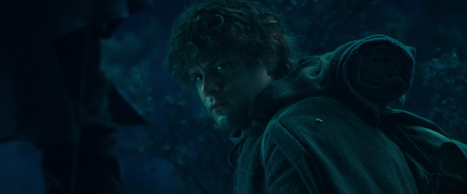 The Lord of the Rings: The Fellowship of the Ring (2001) screencap 18030