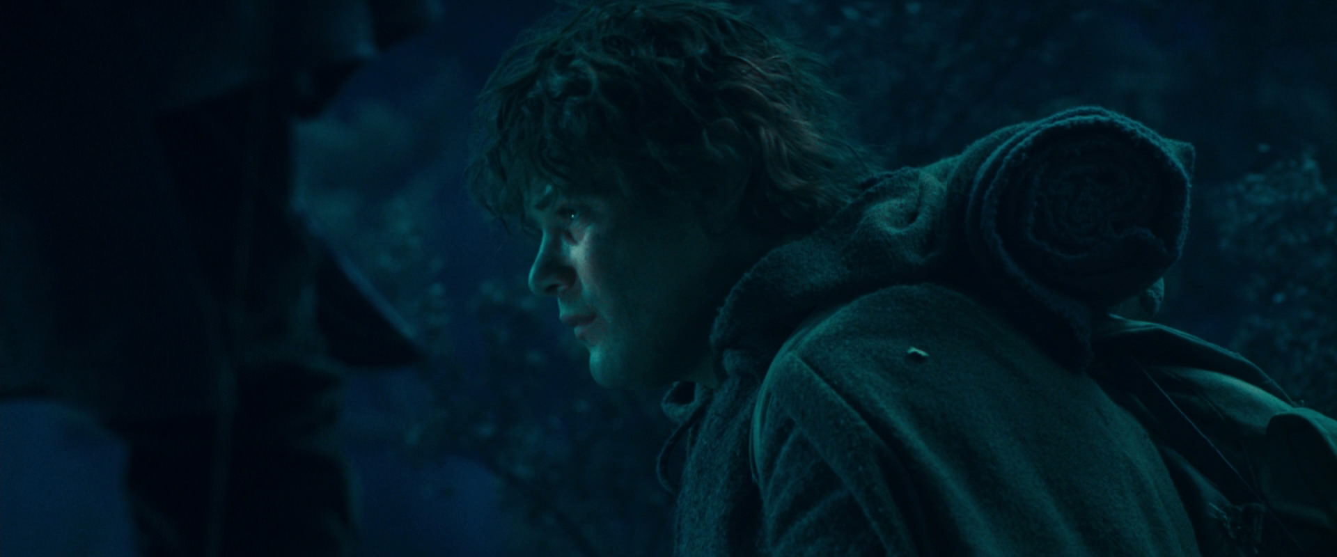 The Lord of the Rings: The Fellowship of the Ring (2001) screencap 18033