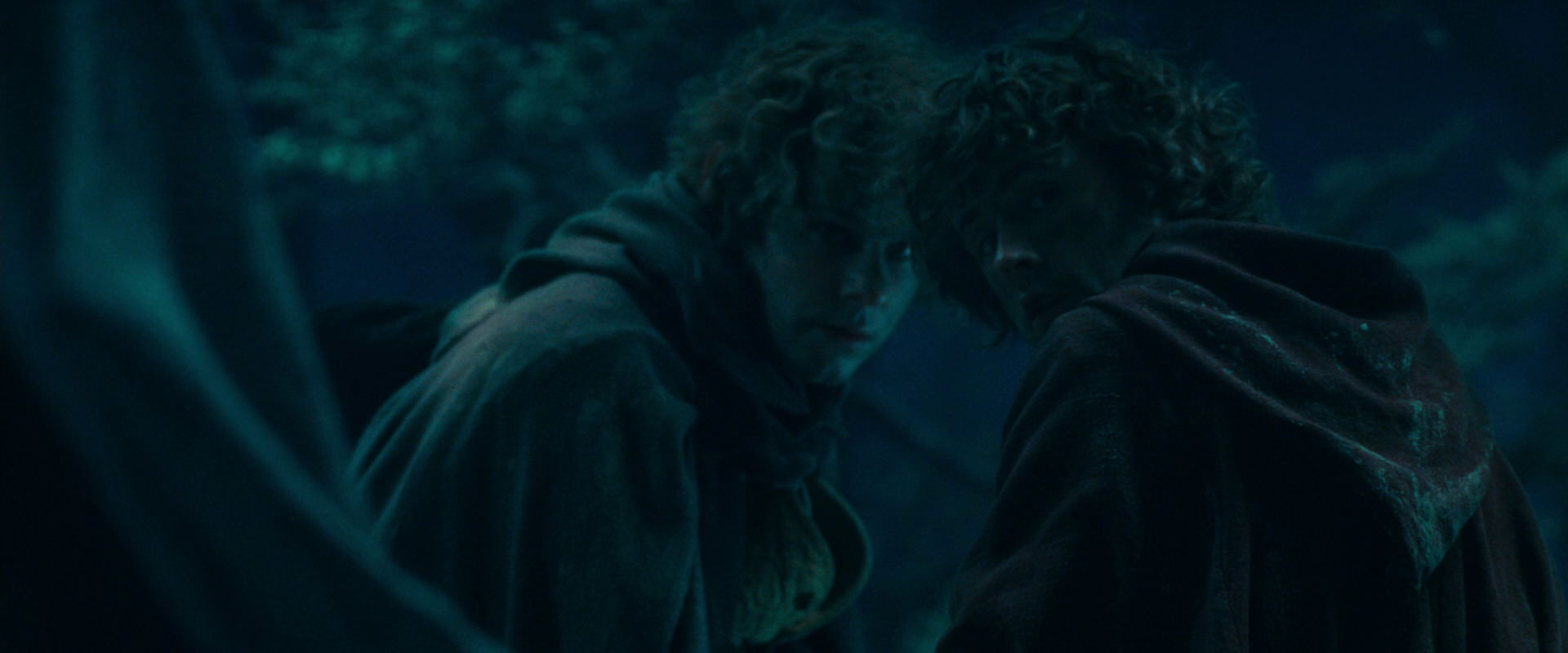 The Lord of the Rings: The Fellowship of the Ring (2001) HD screenshot 18035