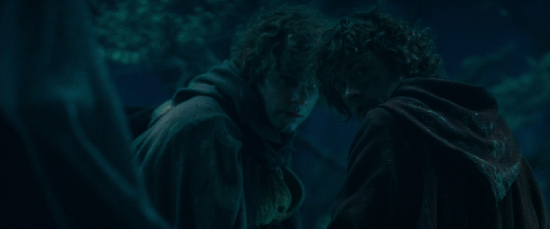 The Lord of the Rings: The Fellowship of the Ring (2001) screencap 18036