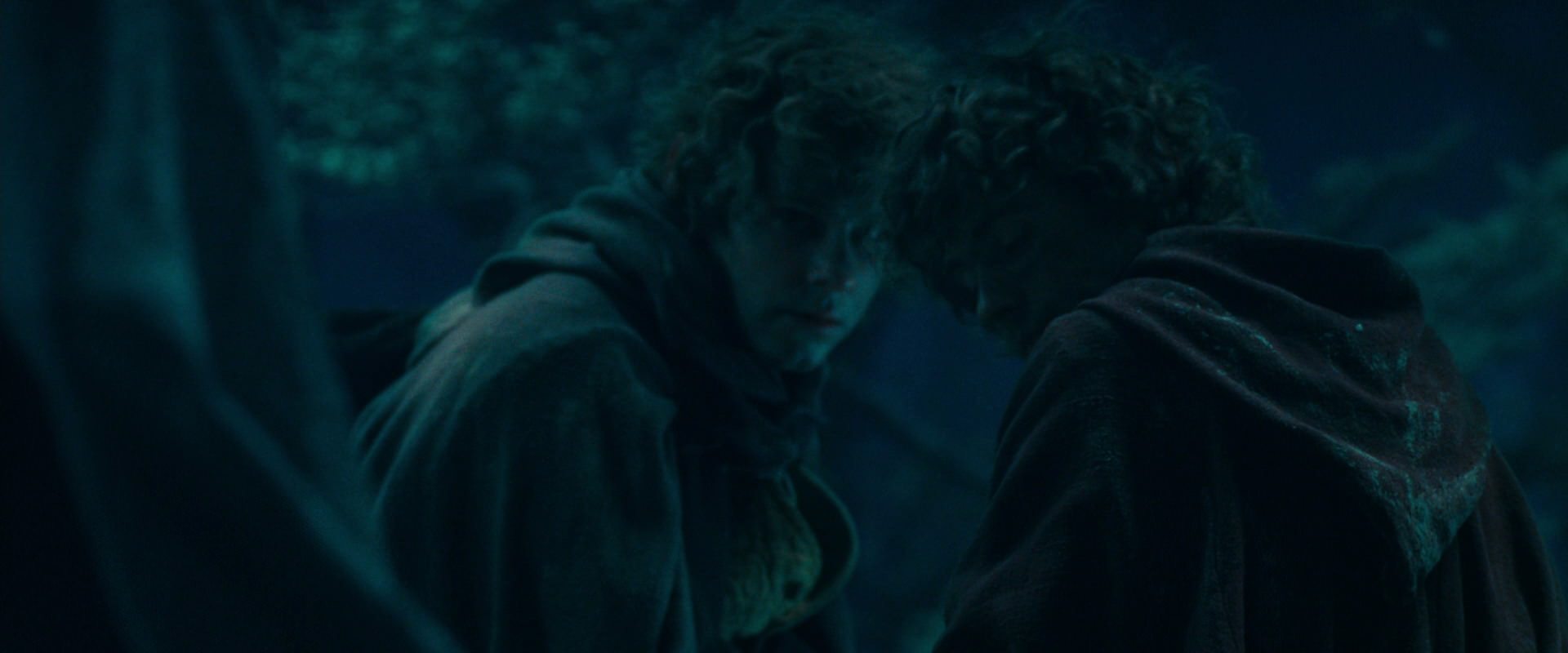 The Lord of the Rings: The Fellowship of the Ring (2001) movie still 18037