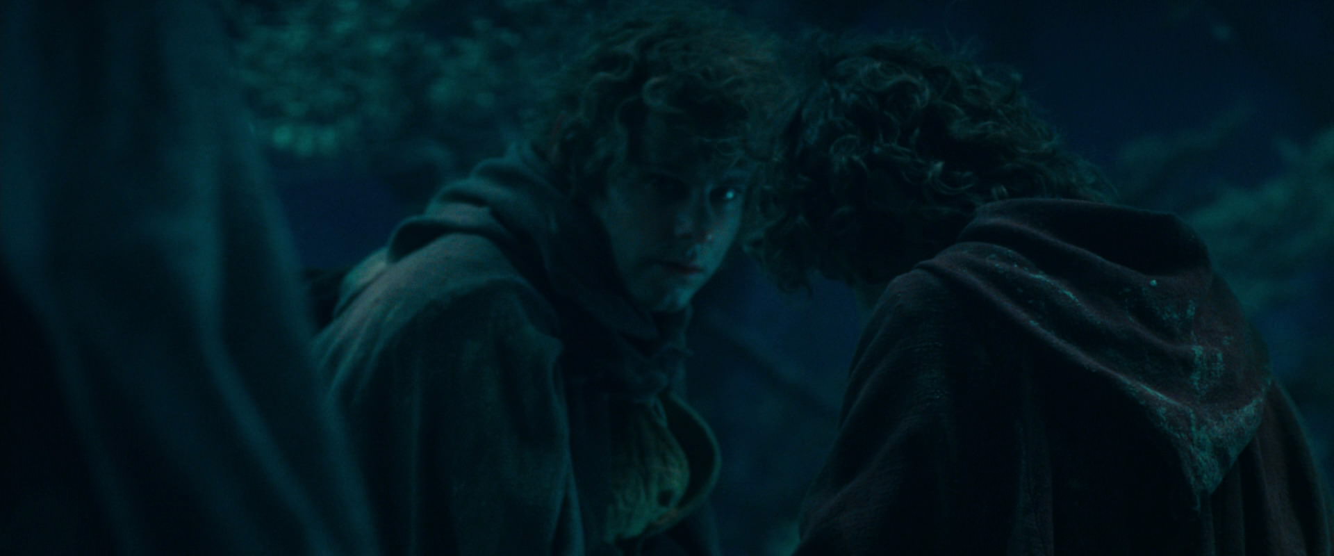 The Lord of the Rings: The Fellowship of the Ring (2001) HD screenshot 18038