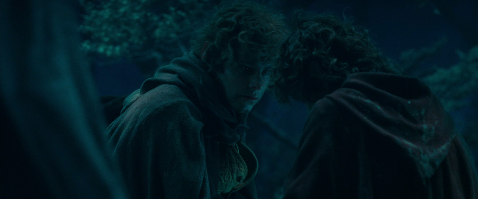 The Lord of the Rings: The Fellowship of the Ring (2001) screencap 18039