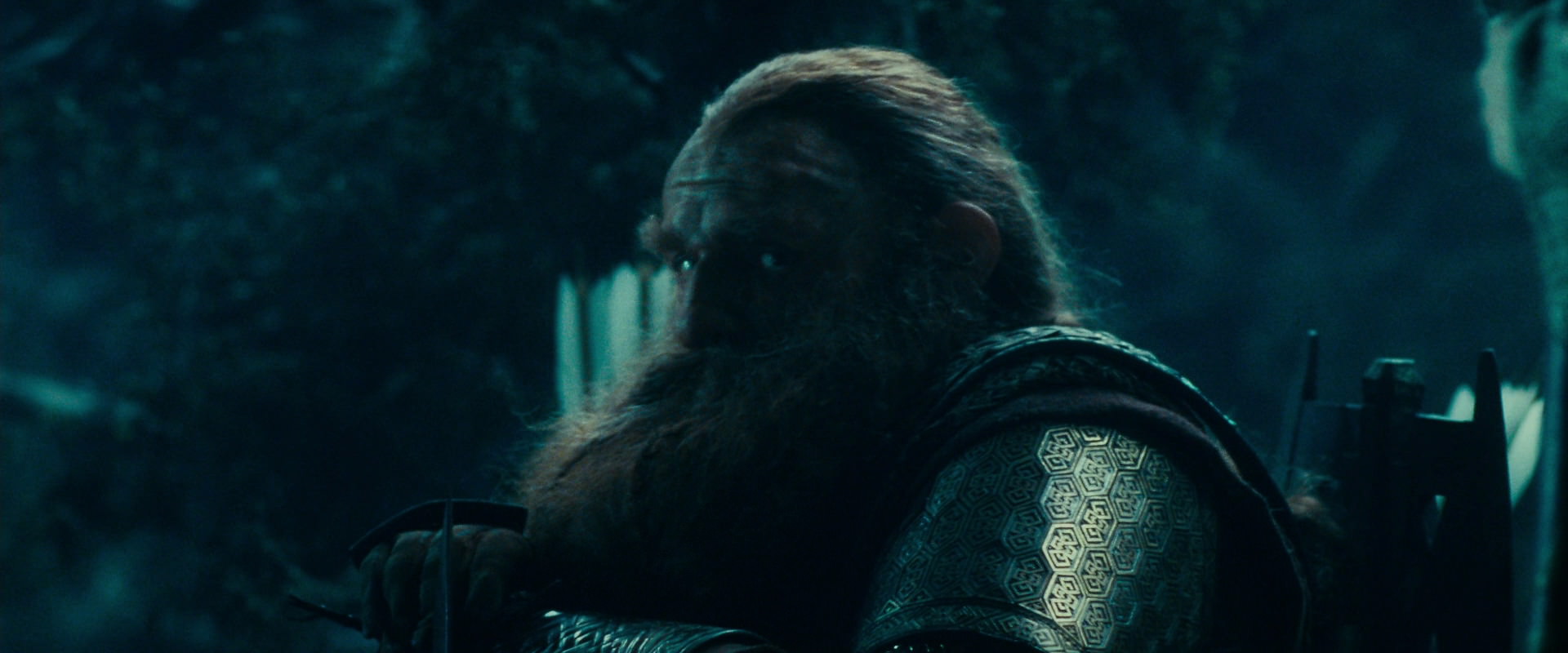 The Lord of the Rings: The Fellowship of the Ring (2001) screencap 18042