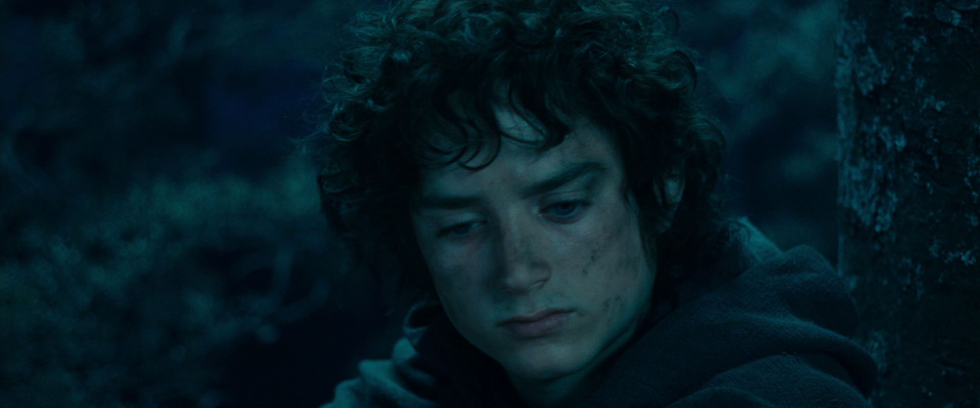 The Lord of the Rings: The Fellowship of the Ring (2001) screencap 18045