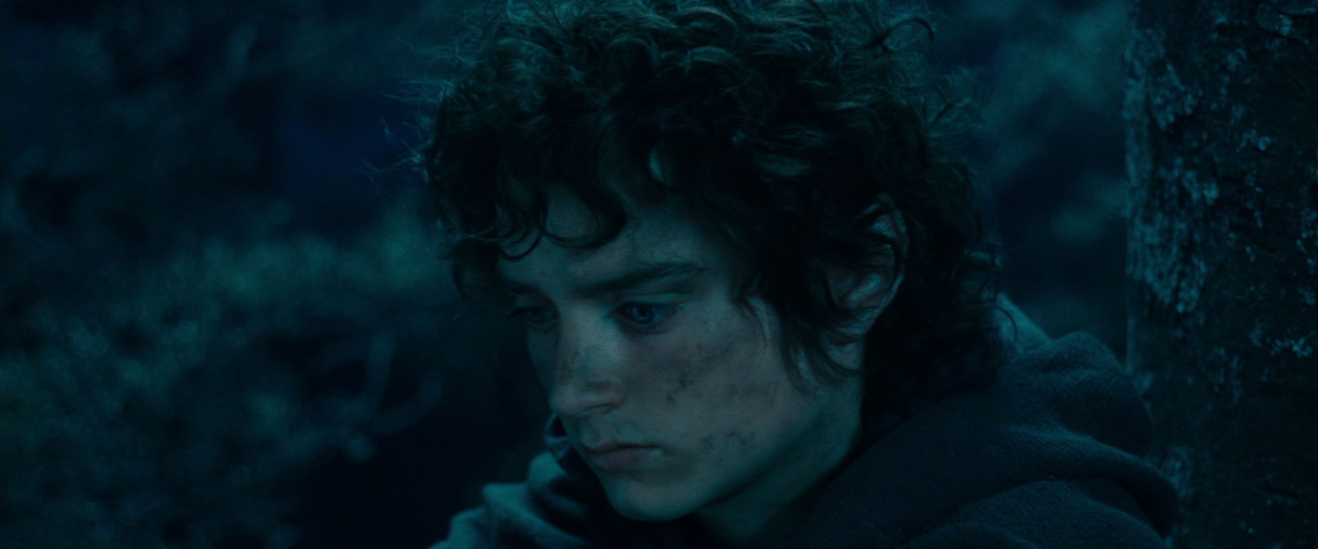 The Lord of the Rings: The Fellowship of the Ring (2001) movie still 18046