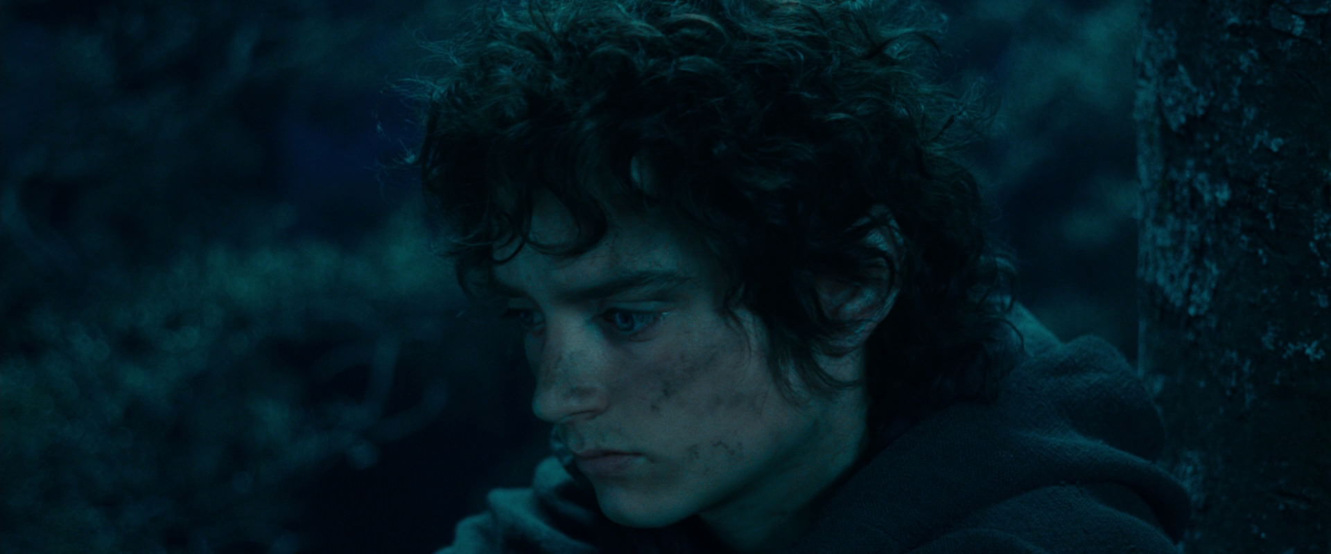 The Lord of the Rings: The Fellowship of the Ring (2001) HD screenshot 18047