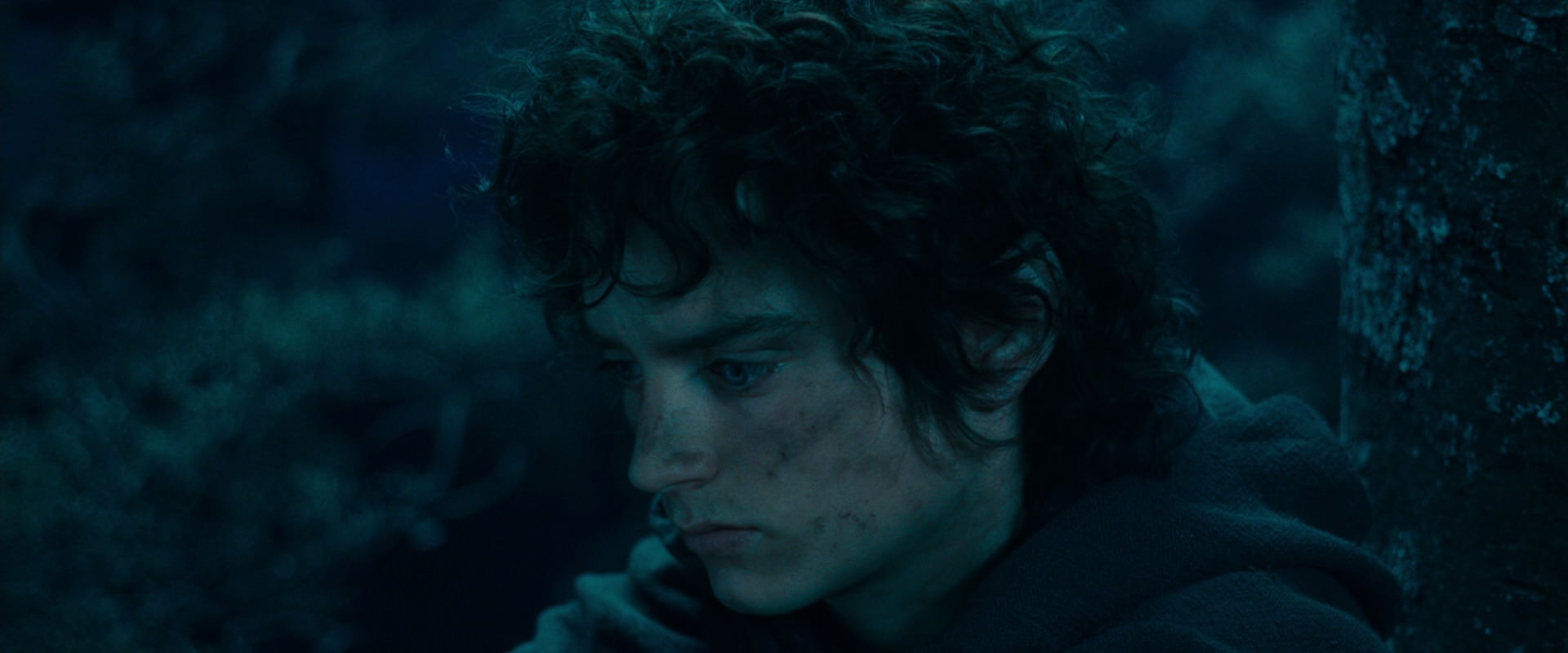 The Lord of the Rings: The Fellowship of the Ring (2001) movie still 18049