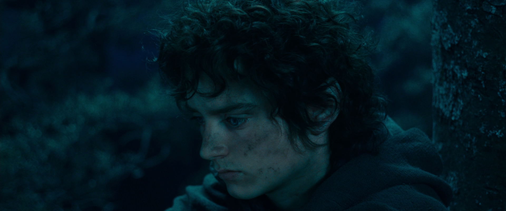 The Lord of the Rings: The Fellowship of the Ring (2001) HD screenshot 18050