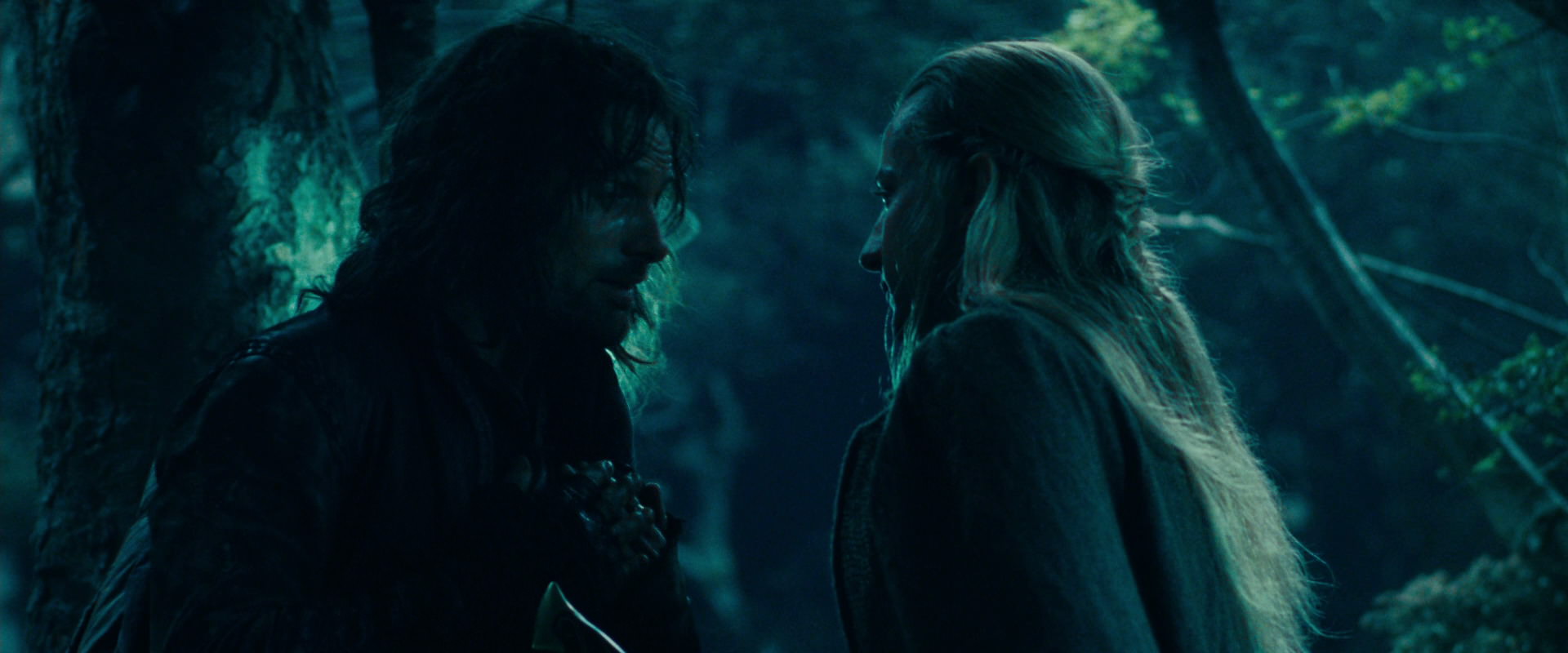 The Lord of the Rings: The Fellowship of the Ring (2001) screencap 18054