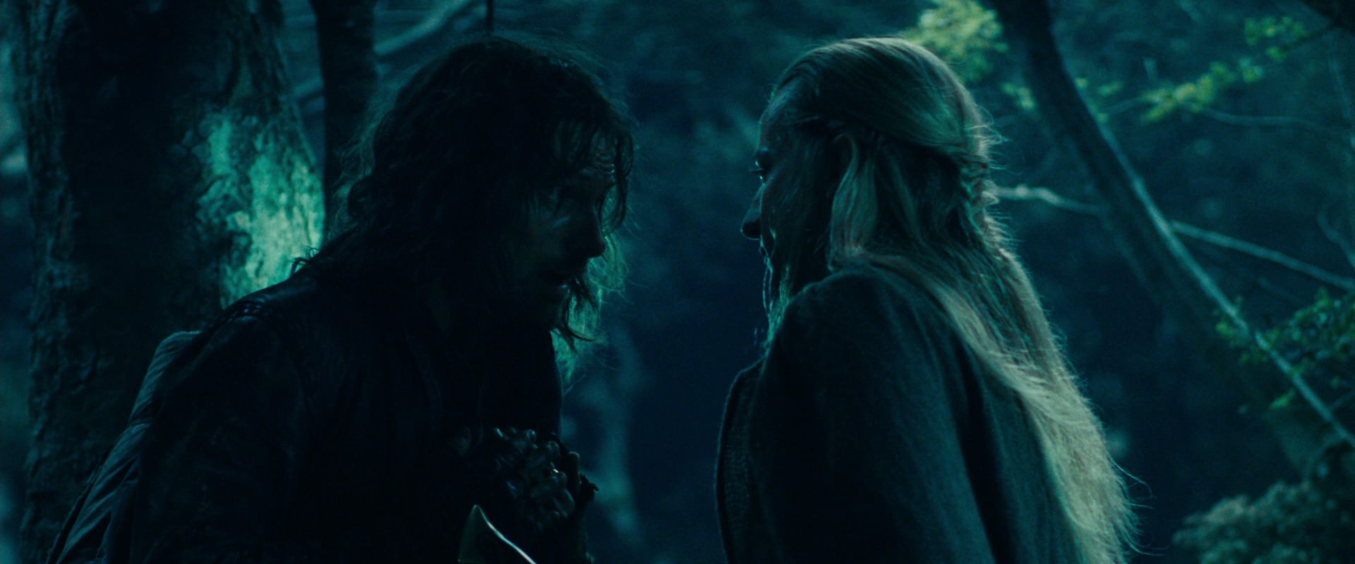 The Lord of the Rings: The Fellowship of the Ring (2001) movie still 18055