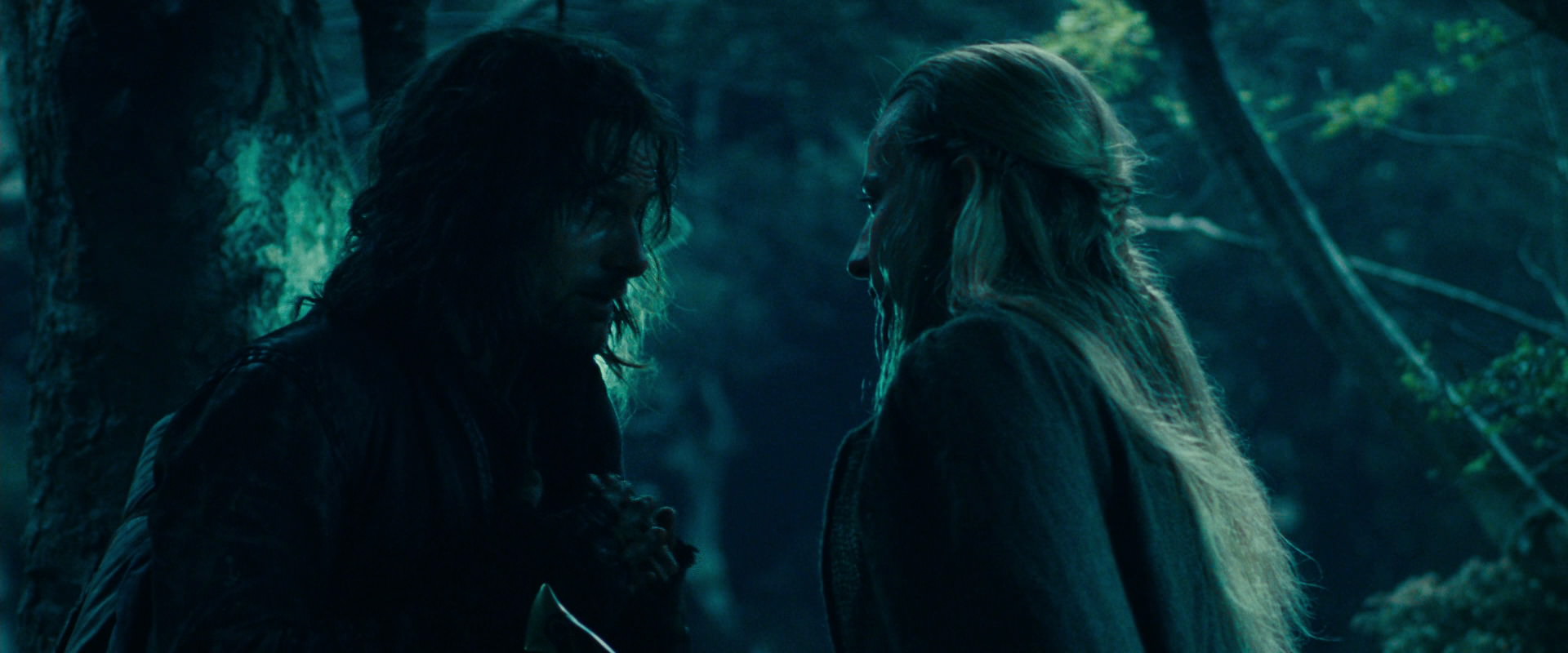 The Lord of the Rings: The Fellowship of the Ring (2001) HD screenshot 18056