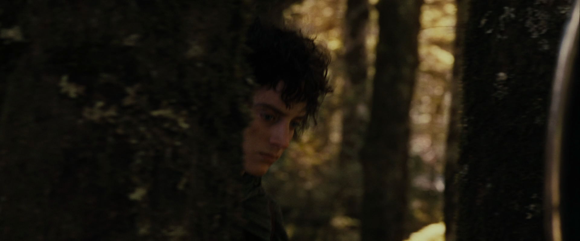 The Lord of the Rings: The Fellowship of the Ring (2001) HD screenshot 18101