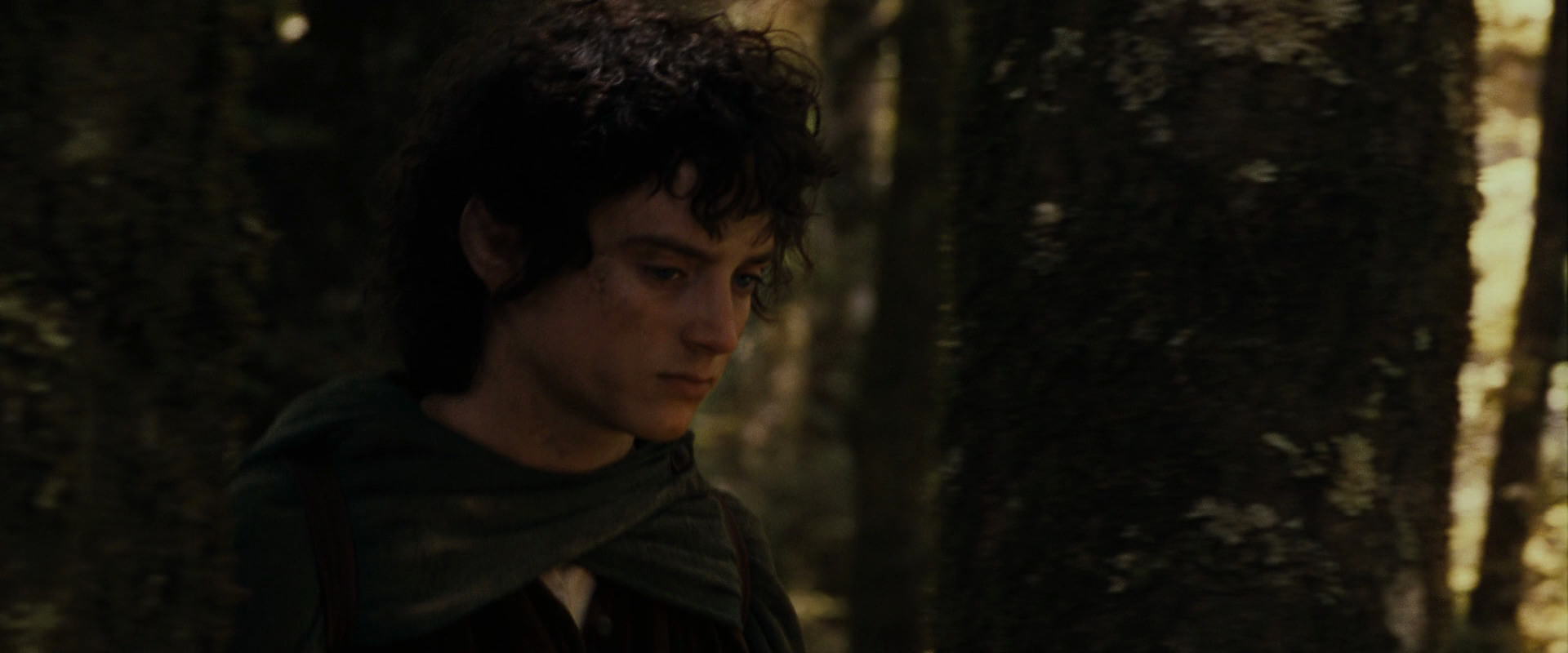 The Lord of the Rings: The Fellowship of the Ring (2001) screencap 18102