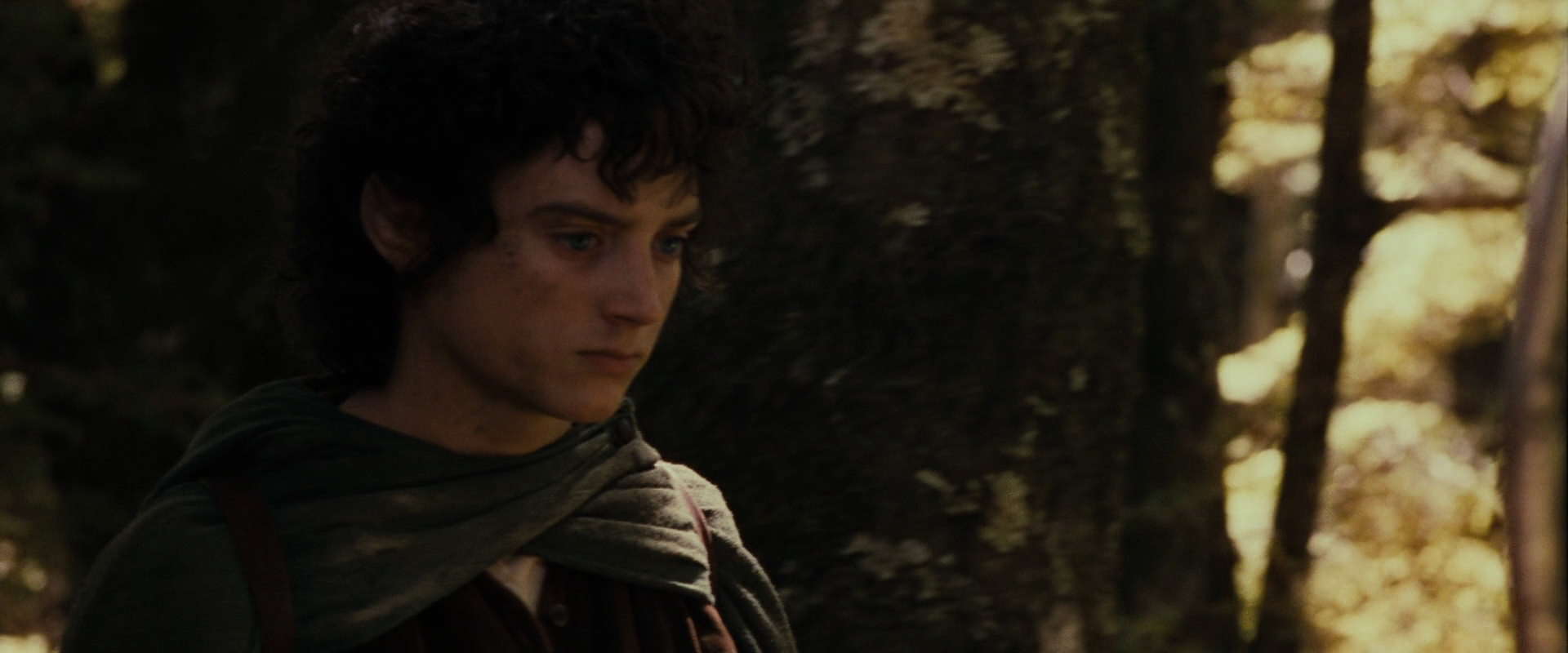 The Lord of the Rings: The Fellowship of the Ring (2001) movie still 18103