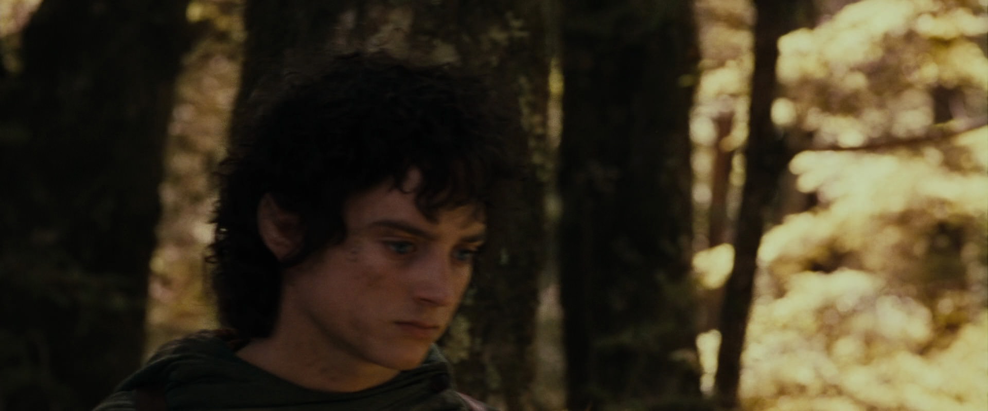 The Lord of the Rings: The Fellowship of the Ring (2001) HD screenshot 18104