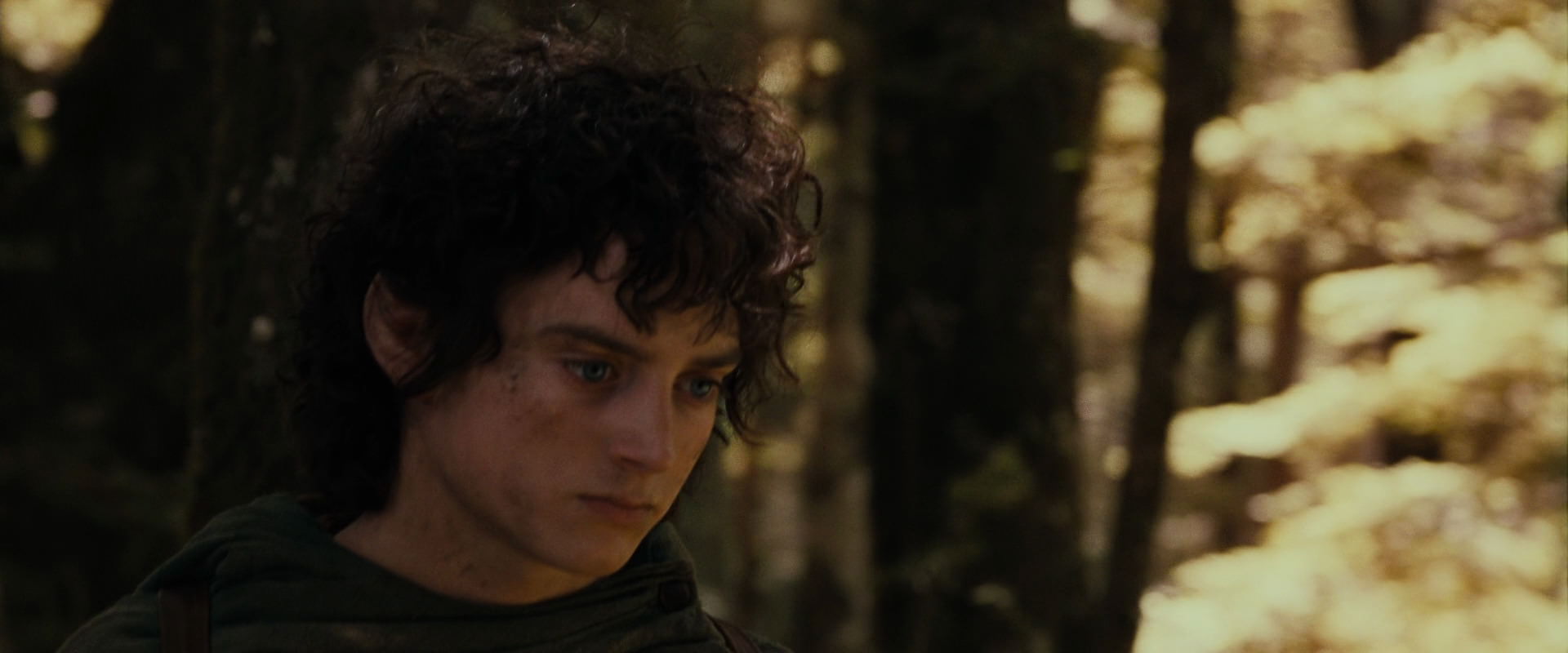 The Lord of the Rings: The Fellowship of the Ring (2001) screencap 18105