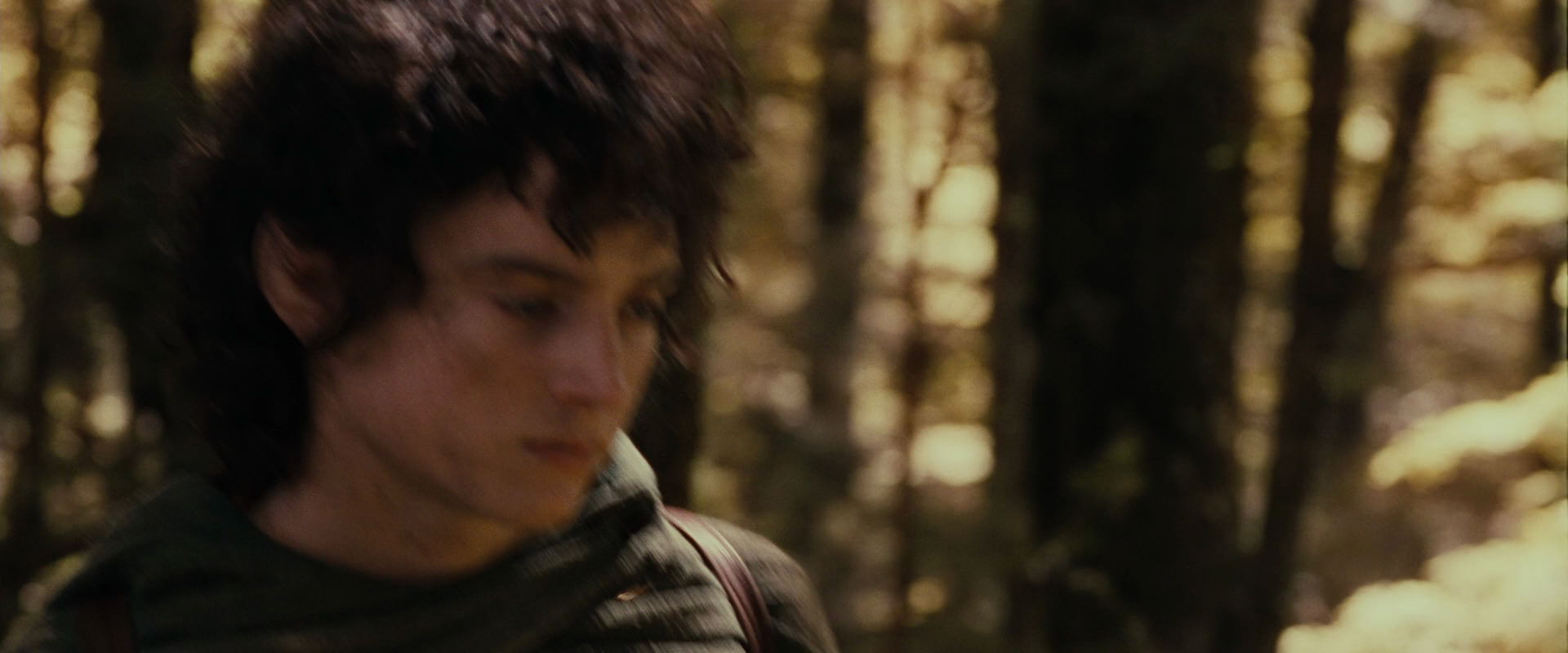 The Lord of the Rings: The Fellowship of the Ring (2001) movie still 18106