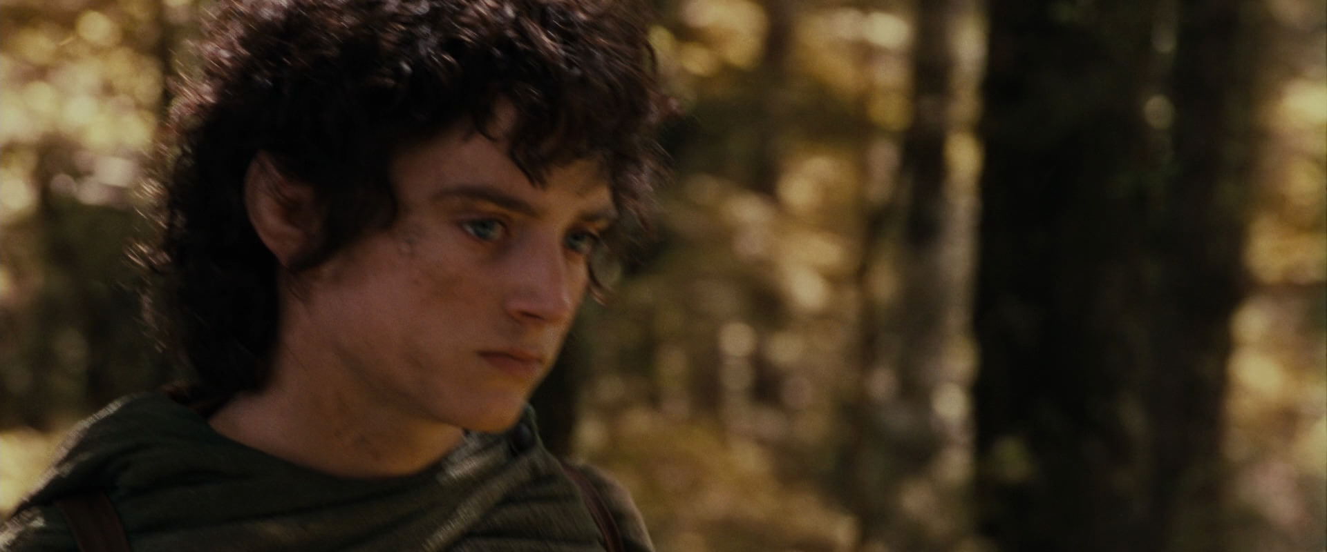 The Lord of the Rings: The Fellowship of the Ring (2001) HD screenshot 18107