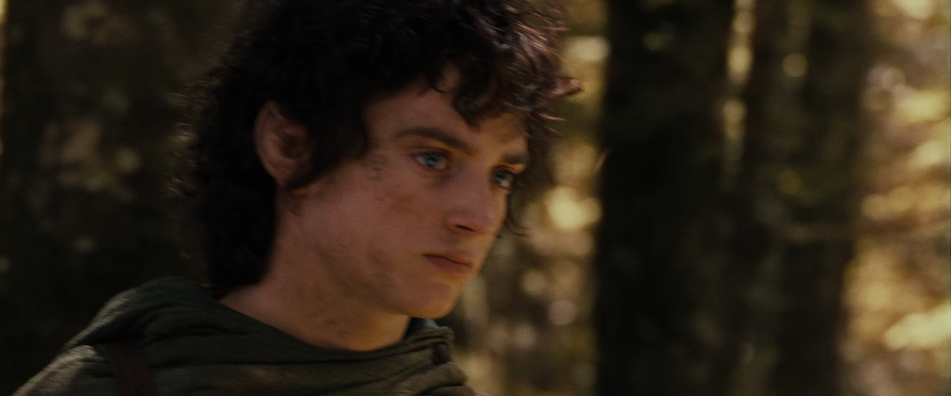 The Lord of the Rings: The Fellowship of the Ring (2001) screencap 18108