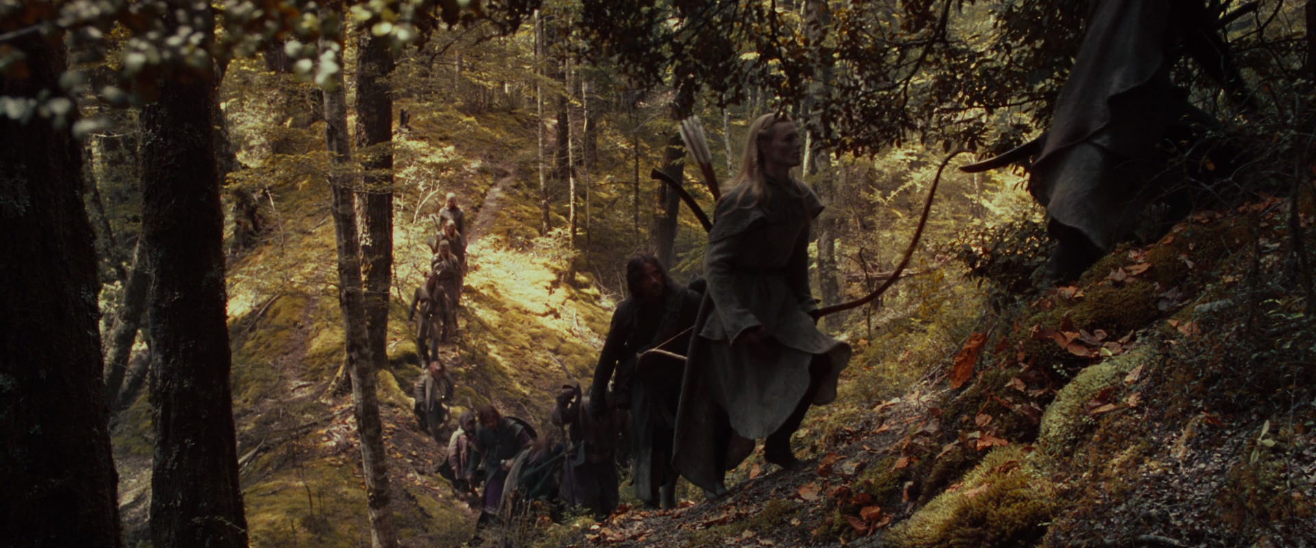The Lord of the Rings: The Fellowship of the Ring (2001) screencap 18114