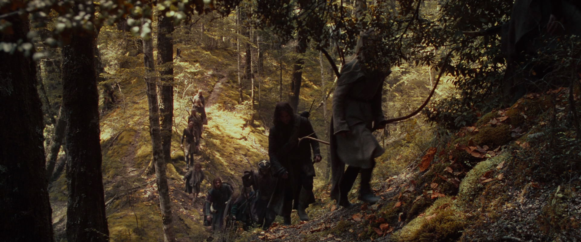 The Lord of the Rings: The Fellowship of the Ring (2001) movie still 18115