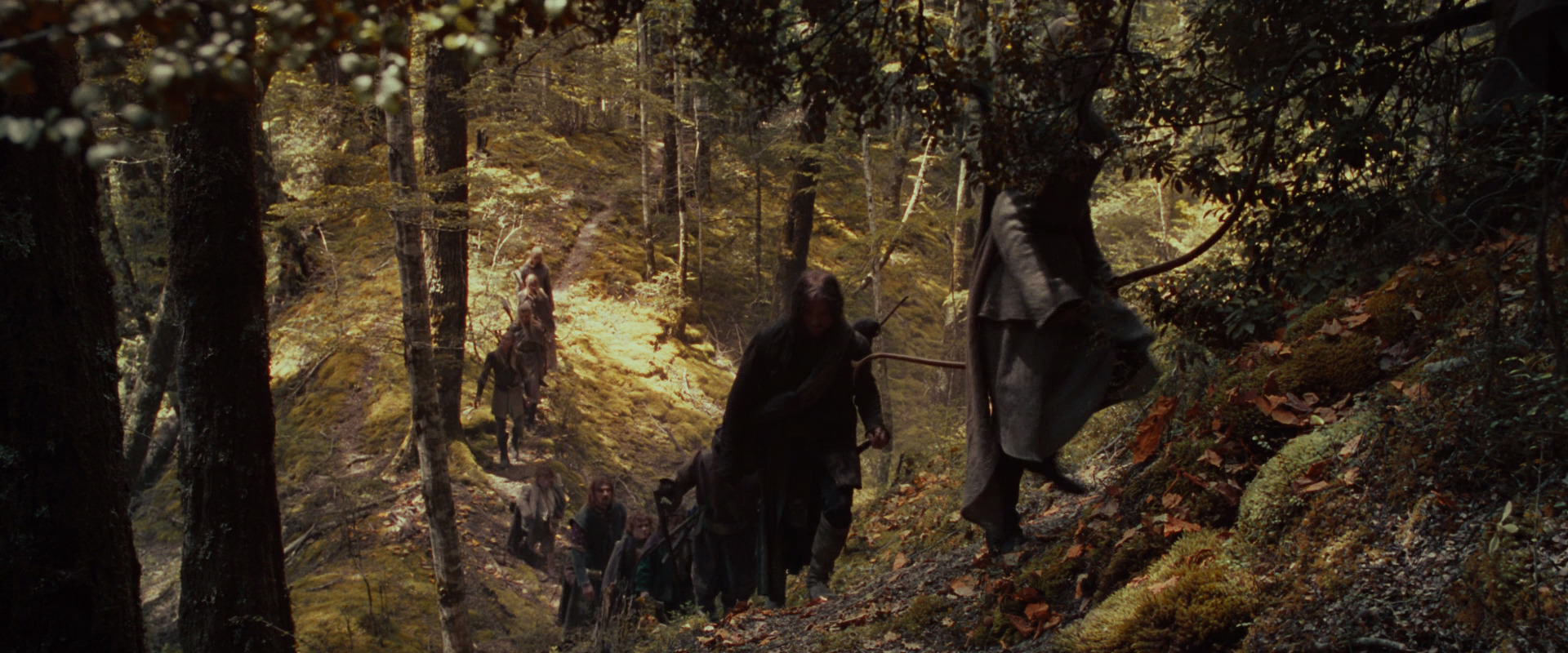 The Lord of the Rings: The Fellowship of the Ring (2001) HD screenshot 18116