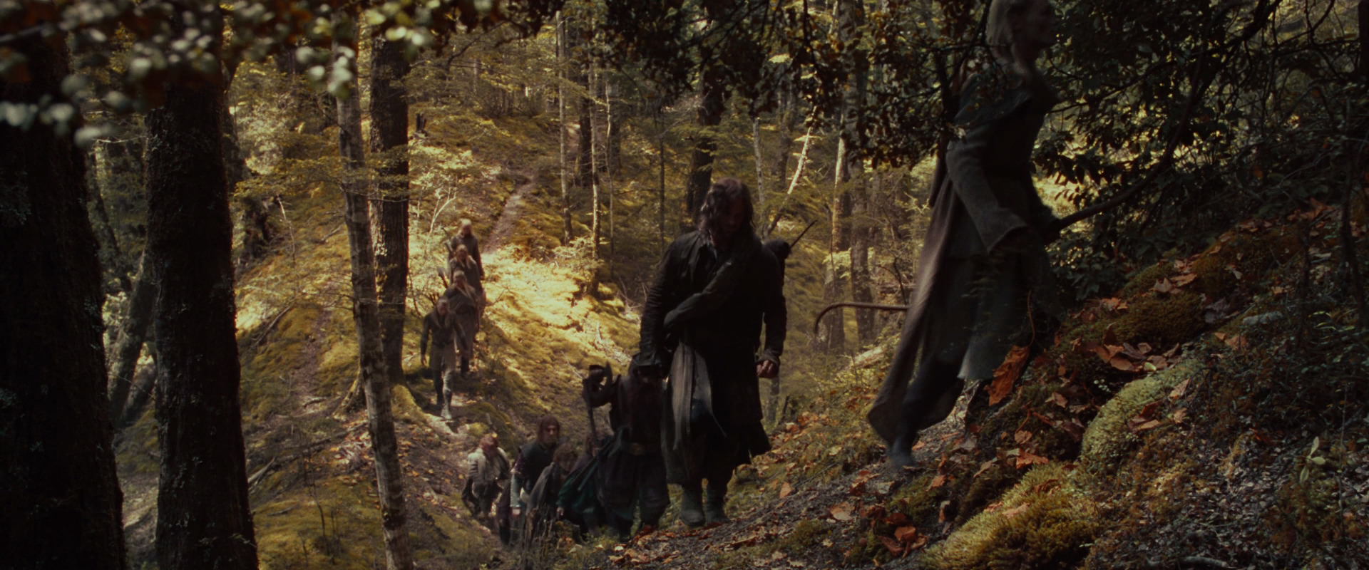 The Lord of the Rings: The Fellowship of the Ring (2001) screencap 18117