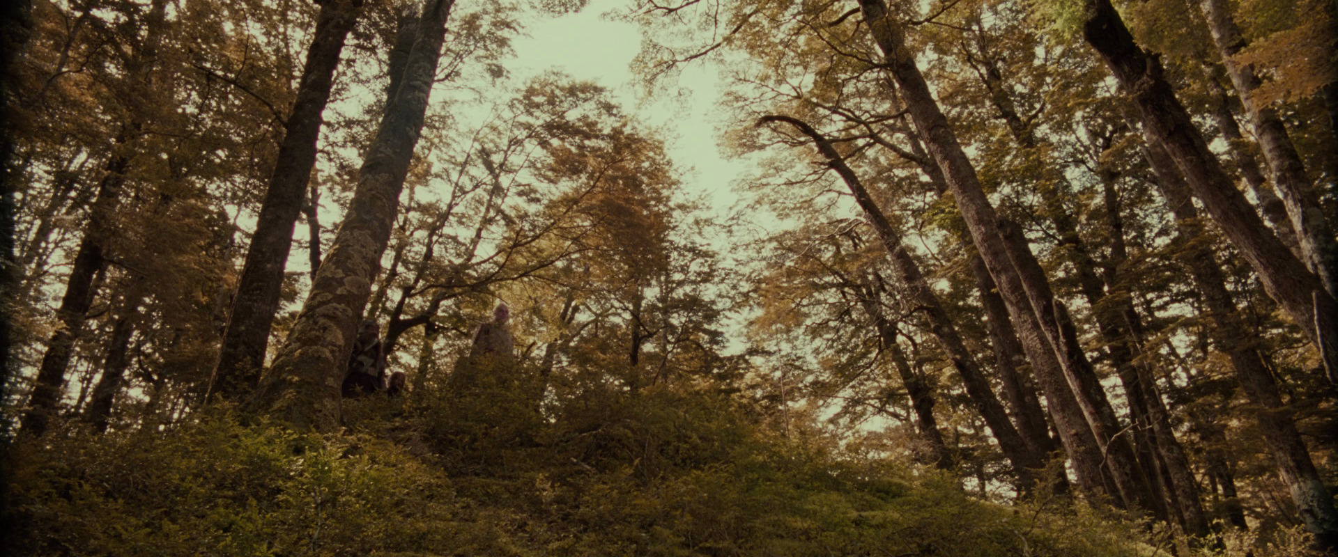 The Lord of the Rings: The Fellowship of the Ring (2001) movie still 18118