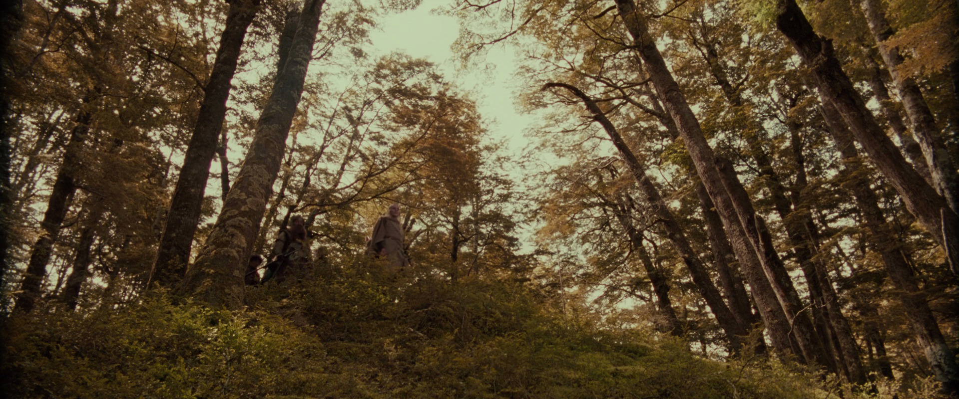 The Lord of the Rings: The Fellowship of the Ring (2001) screencap 18120