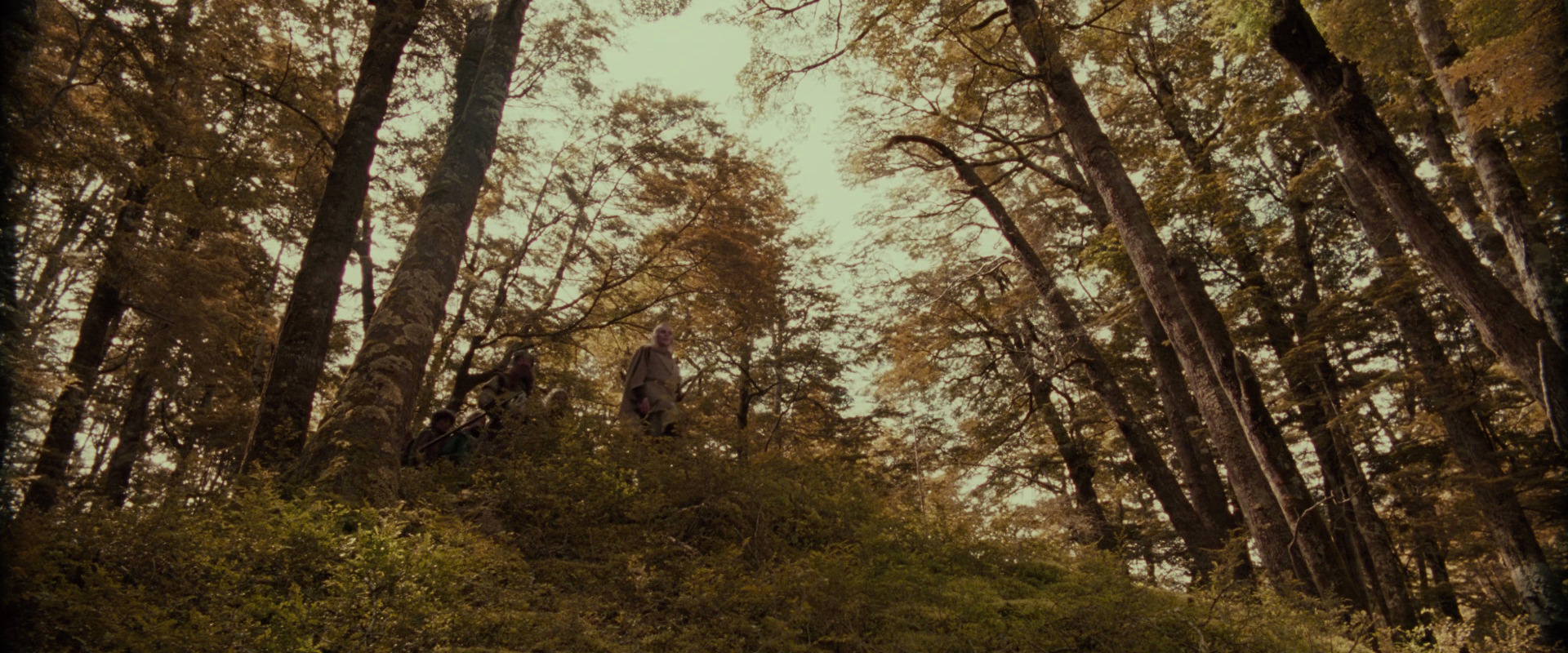 The Lord of the Rings: The Fellowship of the Ring (2001) movie still 18121