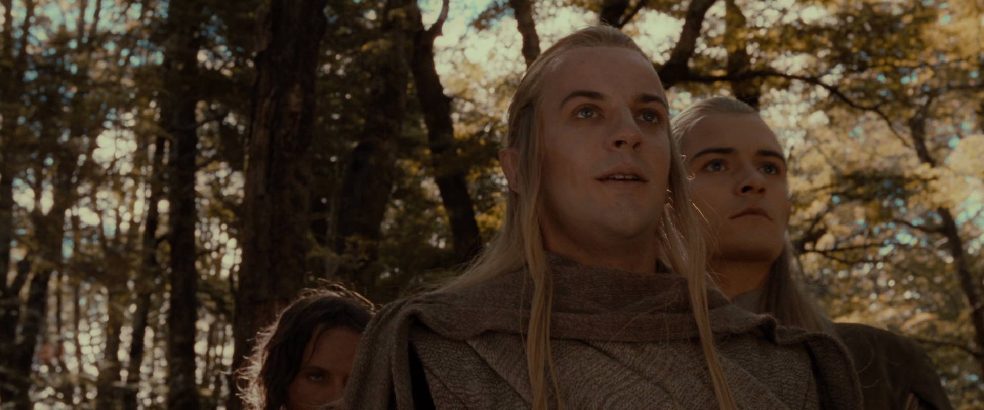 The Lord of the Rings: The Fellowship of the Ring (2001) HD screenshot 18122