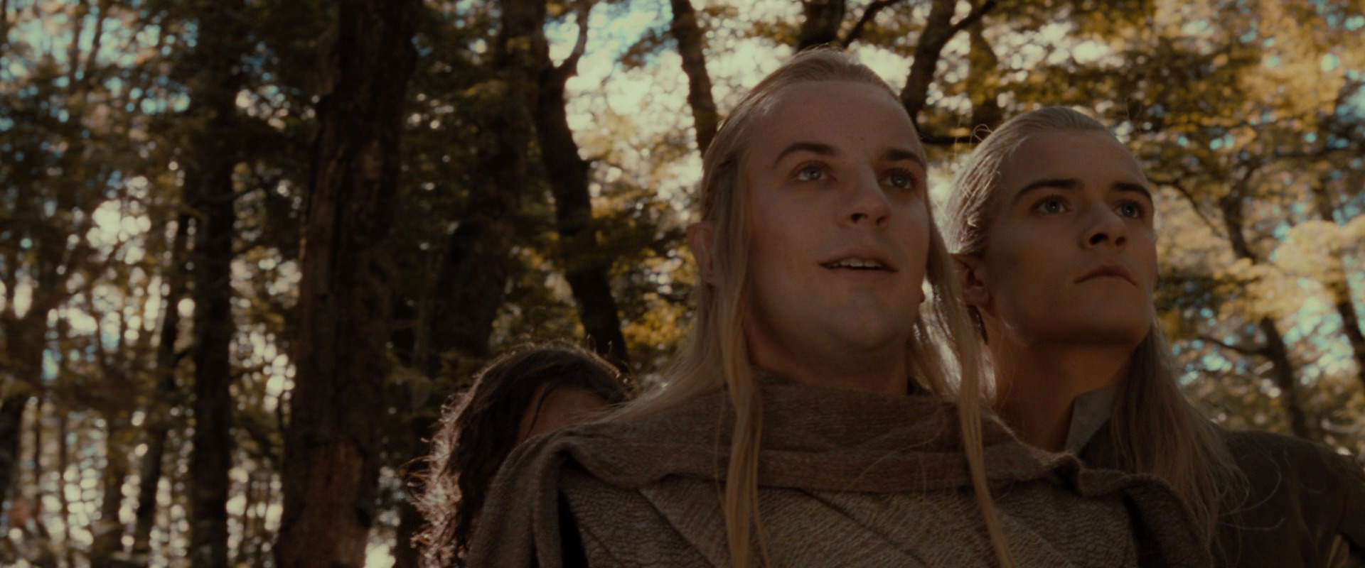 The Lord of the Rings: The Fellowship of the Ring (2001) screencap 18123