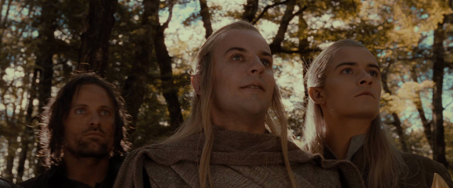 The Lord of the Rings: The Fellowship of the Ring (2001) screencap 18126