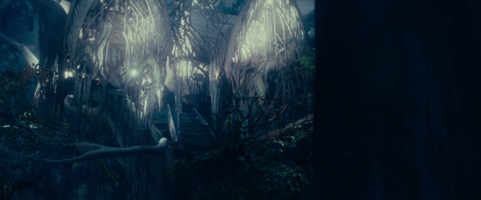 The Lord of the Rings: The Fellowship of the Ring (2001) screencap 18213