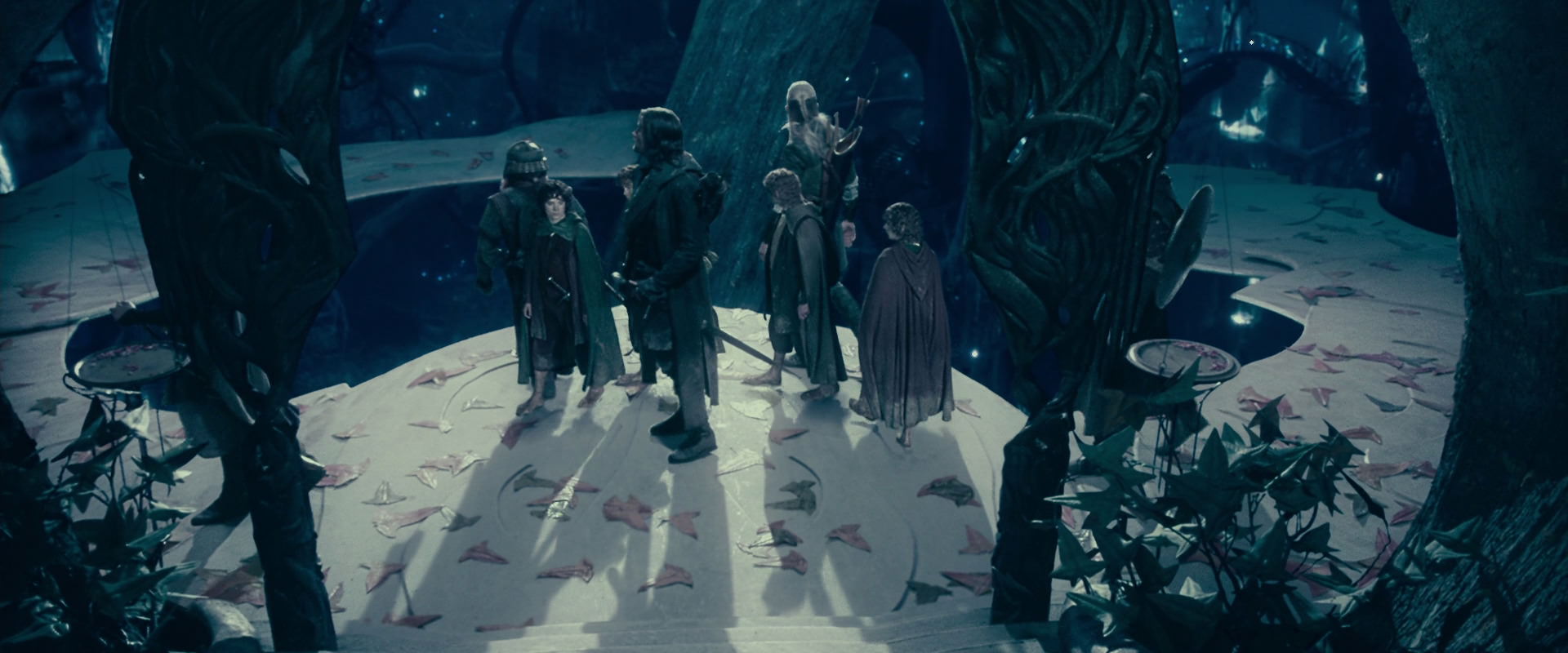 The Lord of the Rings: The Fellowship of the Ring (2001) HD screenshot 18230
