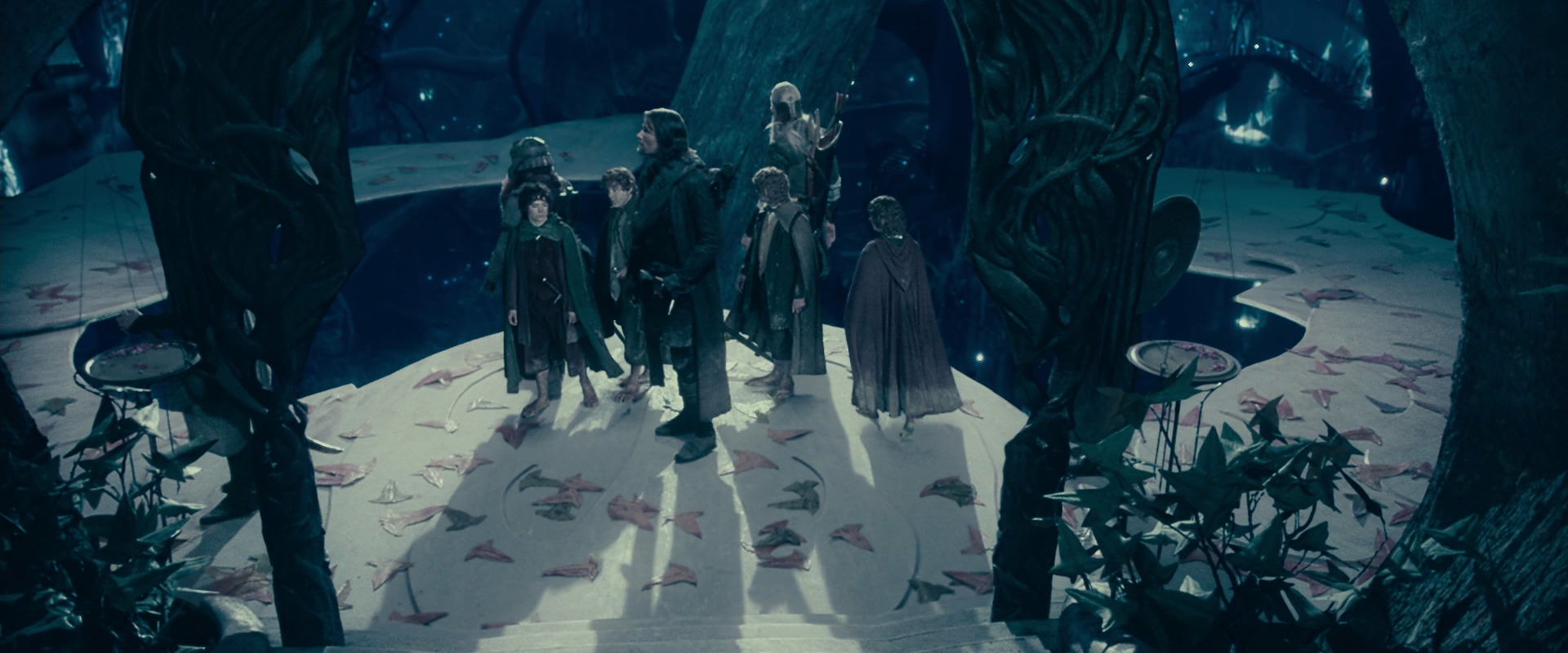 The Lord of the Rings: The Fellowship of the Ring (2001) screencap 18231