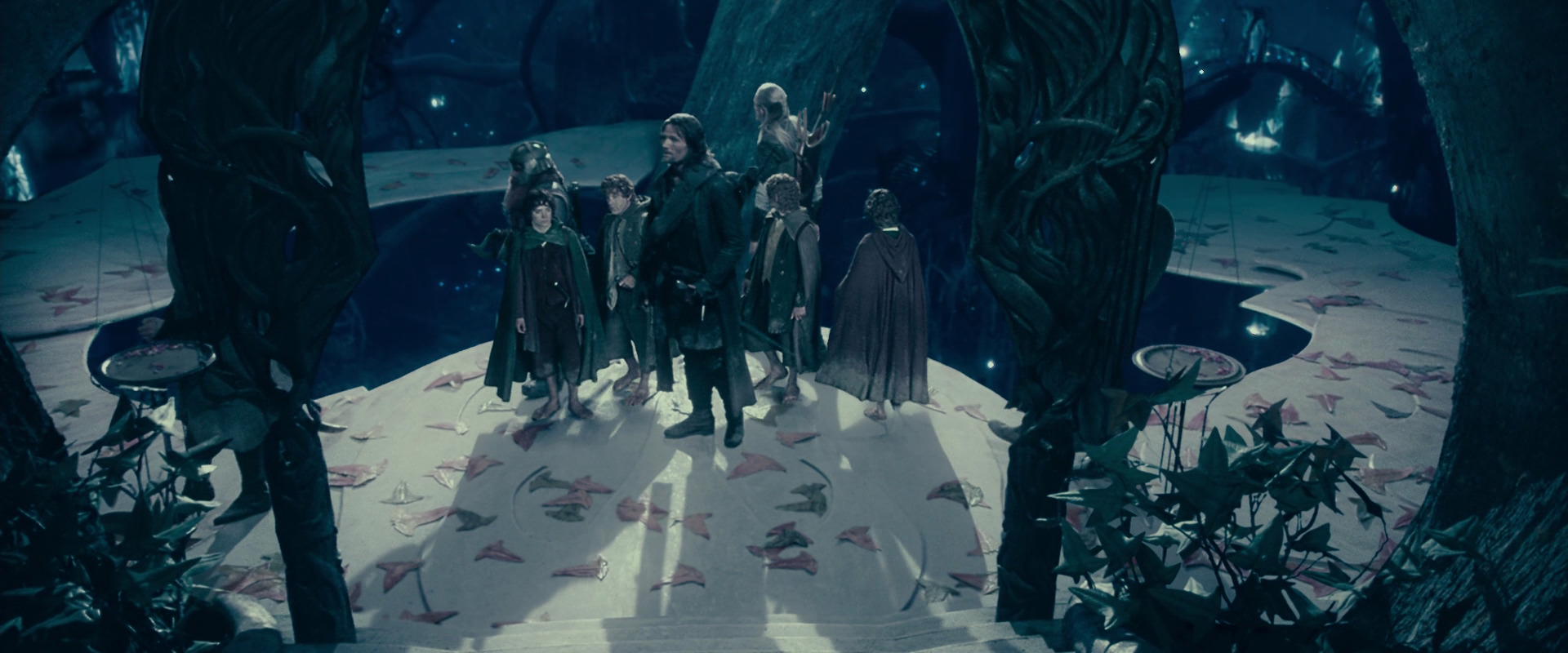 The Lord of the Rings: The Fellowship of the Ring (2001) movie still 18232
