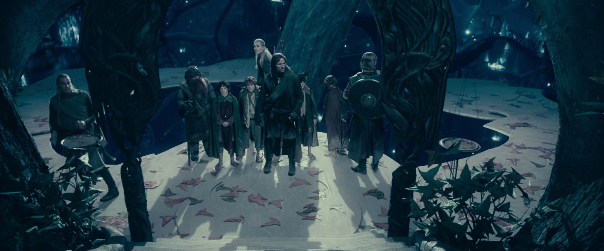 The Lord of the Rings: The Fellowship of the Ring (2001) screencap 18237