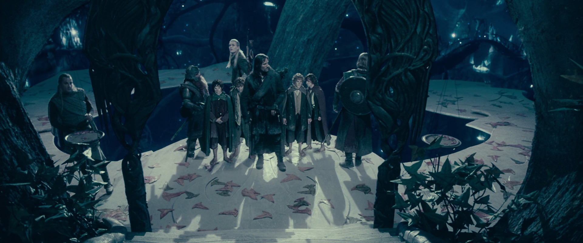 The Lord of the Rings: The Fellowship of the Ring (2001) HD screenshot 18239