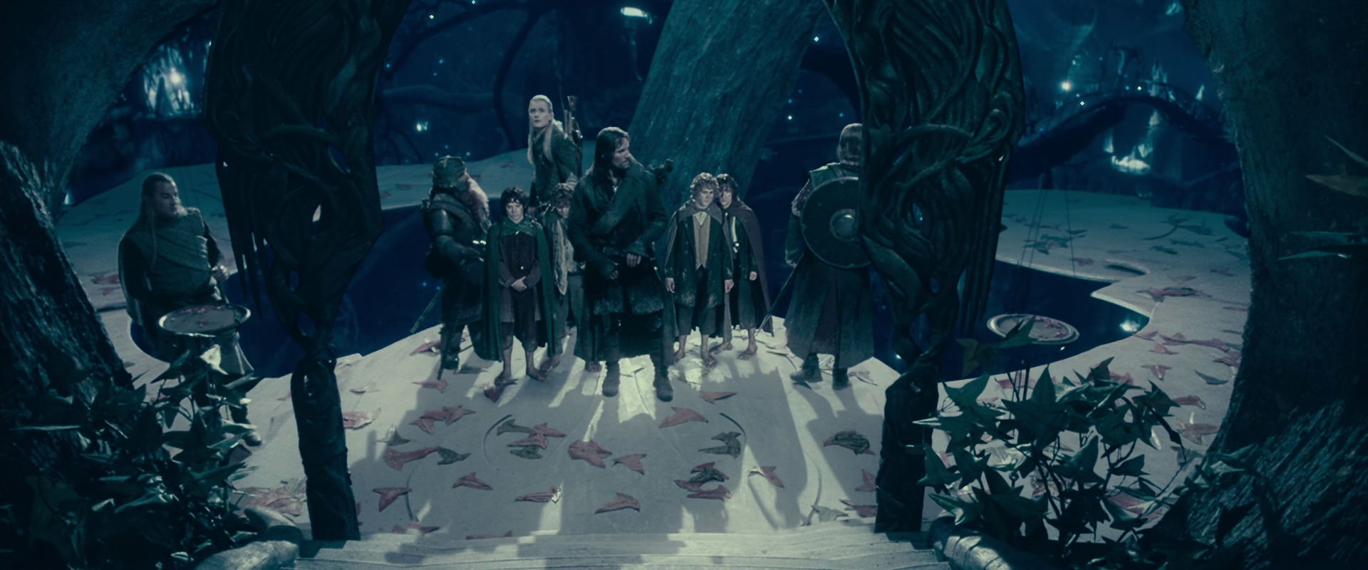 The Lord of the Rings: The Fellowship of the Ring (2001) screencap 18240