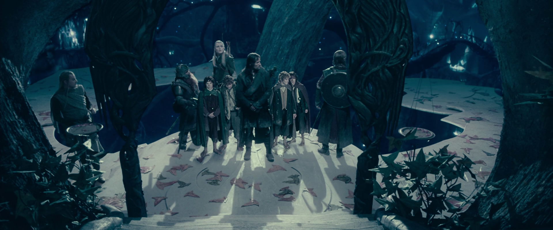 The Lord of the Rings: The Fellowship of the Ring (2001) movie still 18241