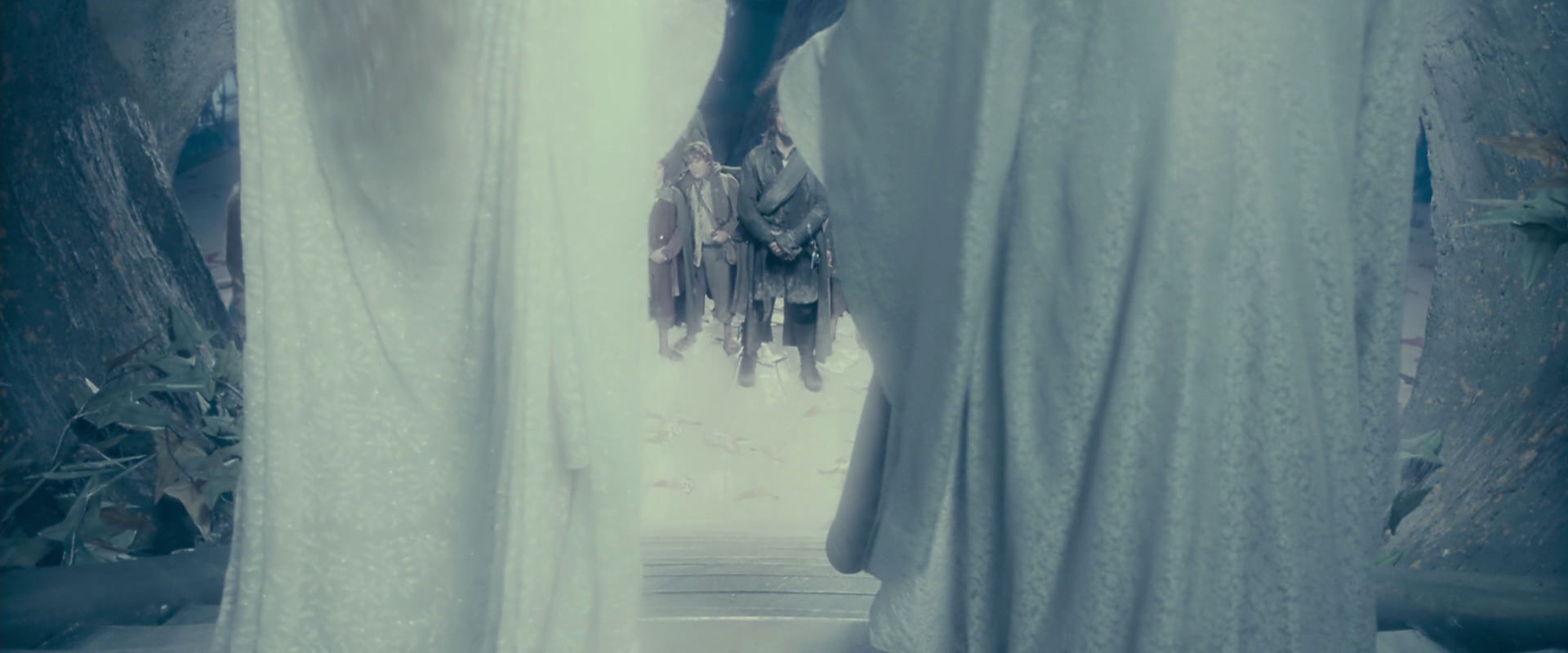 The Lord of the Rings: The Fellowship of the Ring (2001) movie still 18256